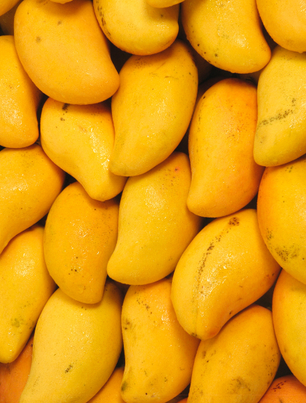 Royal Mangoes