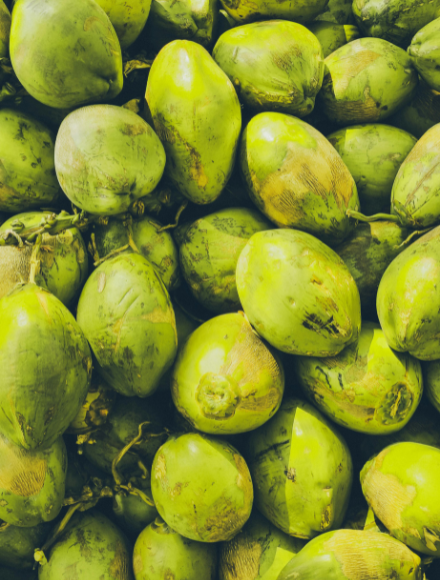 Coconuts